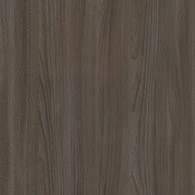 Chestnut Elm